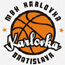 https://img.iynbd.com/img/basketball/team/0c2f73d2ab7041cf90029a20deff7f17.gif