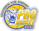 https://img.iynbd.com/img/basketball/team/b5c21d3bf72442c7806fcfdb20ab9a33.png